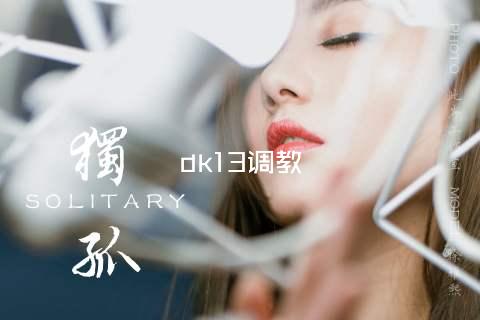 dk13调教
